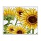 Stupell Industries Rustic Bloom Sunflowers Framed Giclee, design by Kim Allen